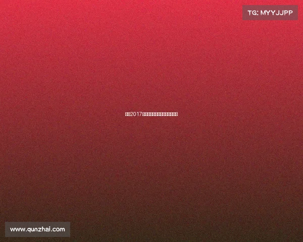 申花2017赛季赛事征程荣耀夺冠辉煌纪录